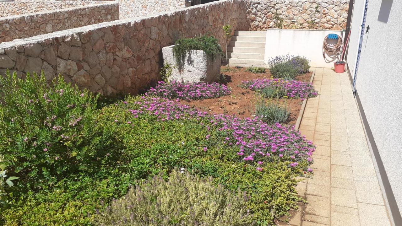 Lorena Cres Bagian luar foto